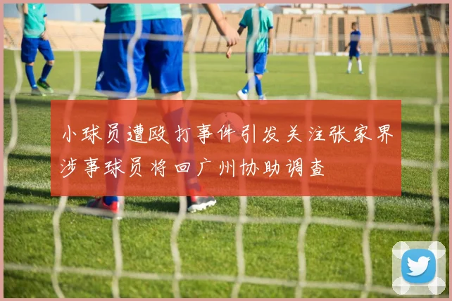 小球员遭殴打事件引发关注张家界涉事球员将回广州协助调查